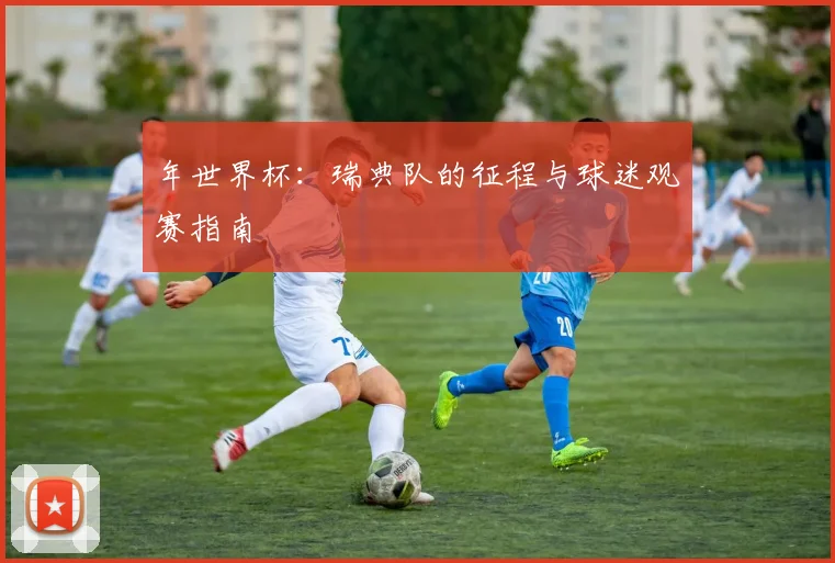 年世界杯：瑞典队的征程与球迷观赛指南