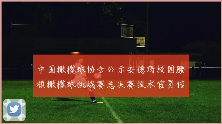 中国橄榄球协会公示安德玛校园腰旗橄榄球挑战赛总决赛技术官员信息