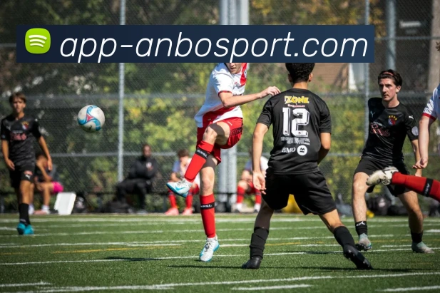 意甲联赛参赛球队数量及赛制全面介绍